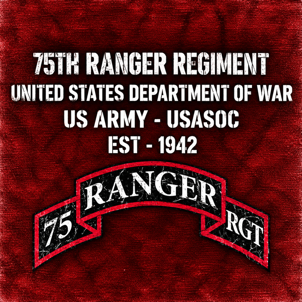 Salute to Service 75th Ranger Regiment